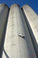 Cjp_2010_05_02_161313 (1).jpg